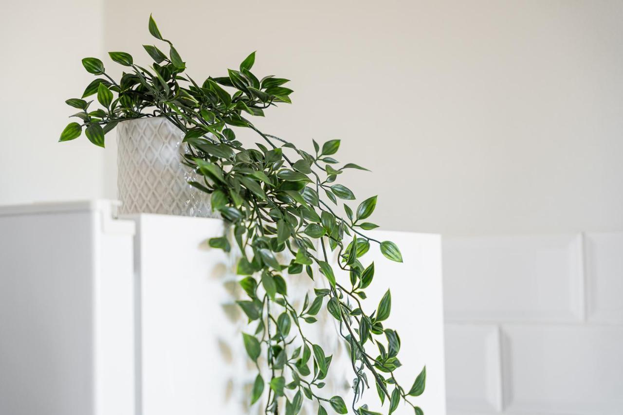 Catarina'S Little Corner By Lovelystay Porto Ngoại thất bức ảnh